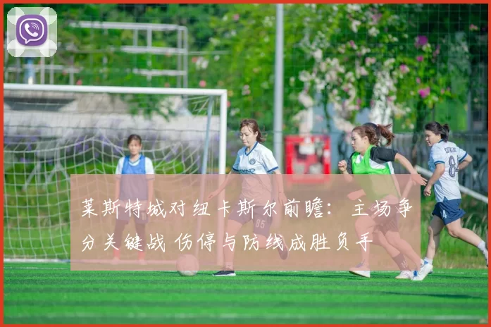 莱斯特城对纽卡斯尔前瞻：主场争分关键战 伤停与防线成胜负手