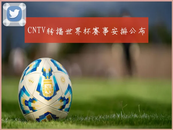 CNTV转播世界杯赛事安排公布