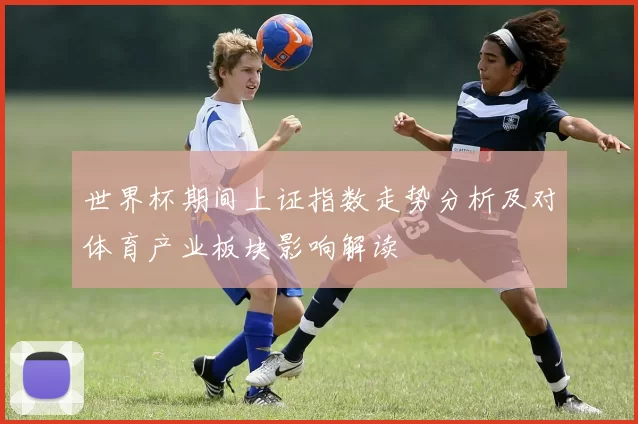 世界杯期间上证指数走势分析及对体育产业板块影响解读